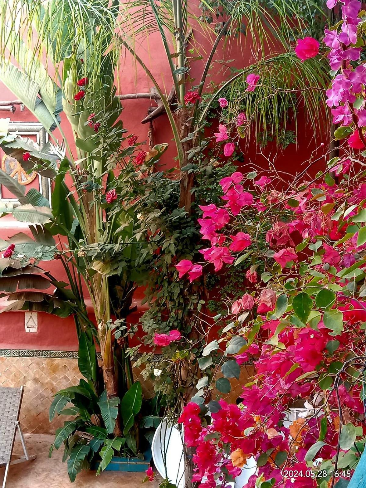 Maison Des Maitres Marrakesz Zewnętrze zdjęcie