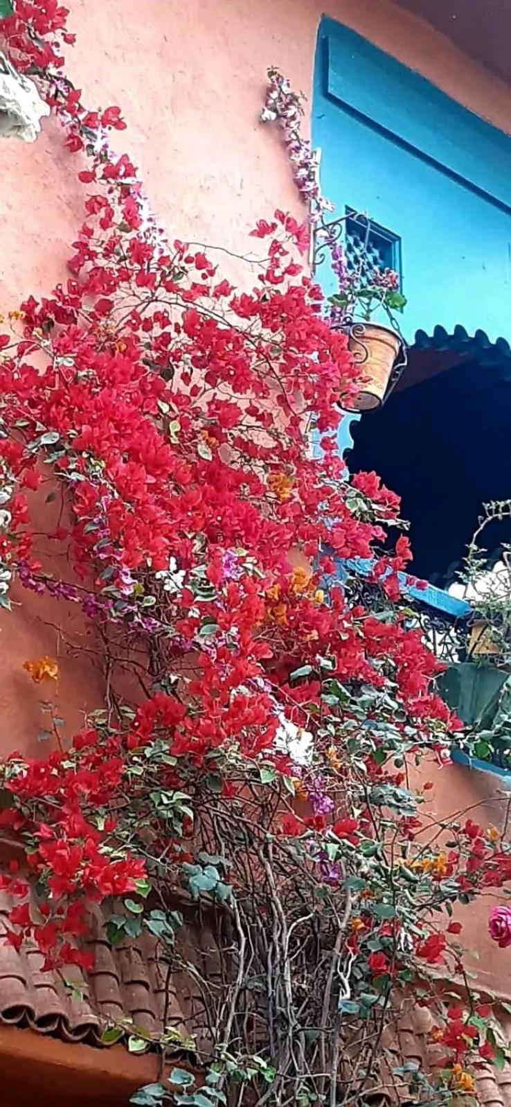 Maison Des Maitres Marrakesz Zewnętrze zdjęcie